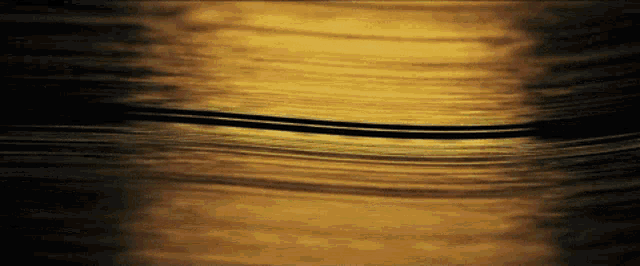 Flowing Current GIF - Flowing Current Sunshine GIFs
