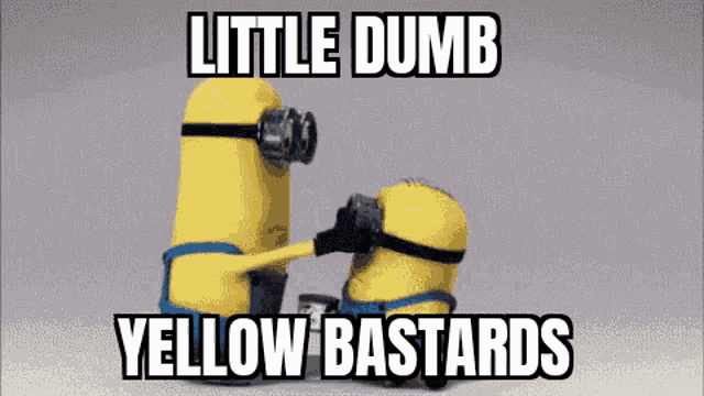 two yellow minions are standing next to each other with the words little dumb yellow bastards below them