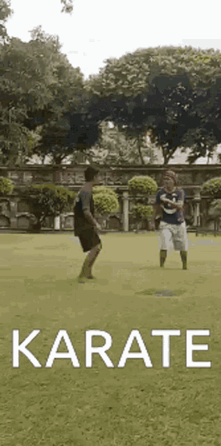 two men are playing karate in a park
