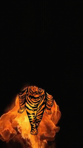 Fire Flames GIF - Fire Flames Tiger GIFs