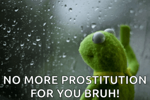kermit the frog looking out a window with the words " no more prostitution for you bruh " above him
