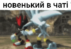 a picture of shadow the hedgehog and silver the hedgehog in a video game .