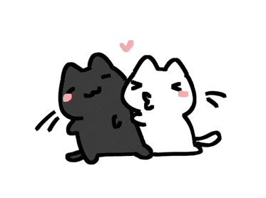 a black cat and a white cat are hugging each other on a white background