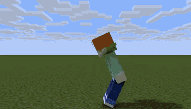 a minecraft character is standing in a field