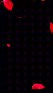 a bunch of red hearts on a black background with solidarity written on it
