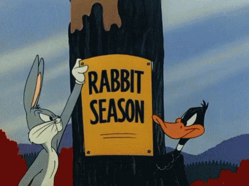 Rabbit Season Duck Season Bugs Bunny Daffy Duck GIF - Rabbit Season Duck Season Bugs Bunny Daffy Duck Looney Toons GIFs