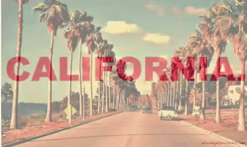 California GIF - California GIFs