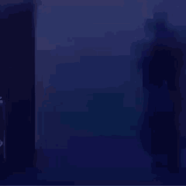 a blurred image of a person standing in a dark room .