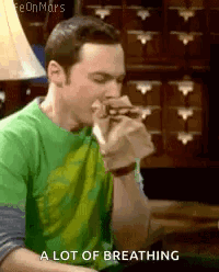 Sheldon Bbt GIF - Sheldon Bbt Hyperventilation GIFs