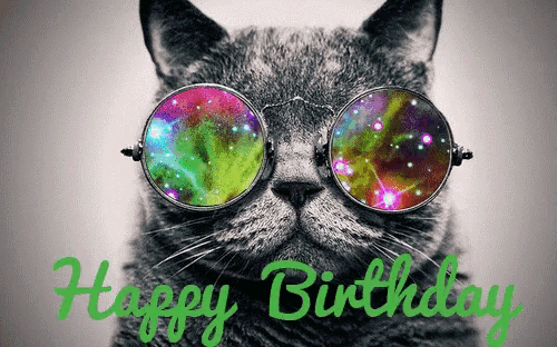 a cat wearing colorful glasses with the words happy birthday written below it