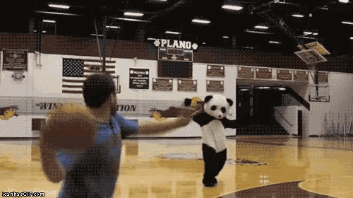 a man and a panda mascot are playing basketball in a gym with a sign that says plano