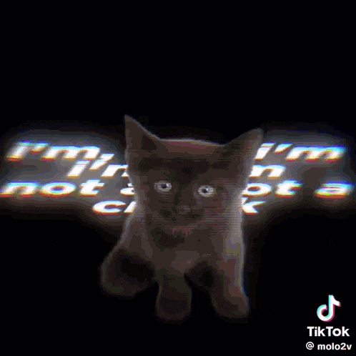 a tiktok video that says i 'm i 'm i 'm i 'm on it