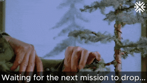 a person is holding a tree branch with the words waiting for the next mission to drop