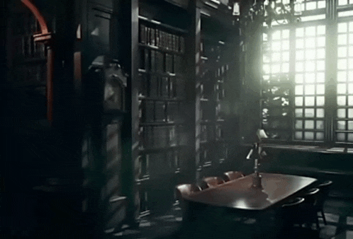 a dark room with a table and chairs and a bookshelf