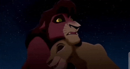 a lion and a lioness are looking at each other at night