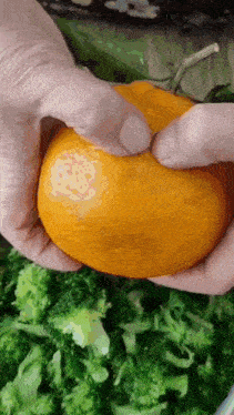 a person is holding a pumpkin over a bowl of broccoli