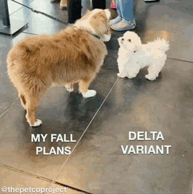 two dogs are standing next to each other on a tiled floor and looking at each other .