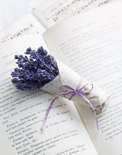 a bunch of purple flowers on top of a book that says don juan