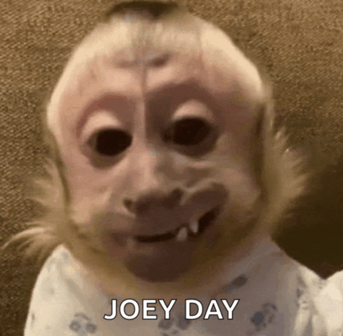 a monkey with a baby 's face and teeth is smiling and says joey day .