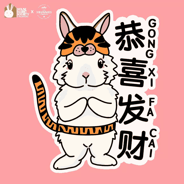 a cartoon of a rabbit wearing a tiger hat with chinese writing behind it