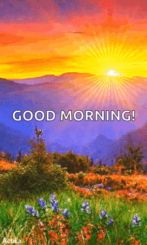 Good Morning GIF - Good Morning Scenery GIFs
