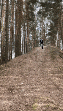 a group of people walking down a dirt path in the woods