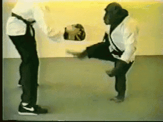 a gorilla is kicking a man in the face