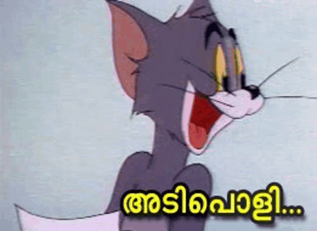 a tom and jerry cartoon with a foreign language written on it