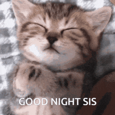 a kitten is sleeping with its eyes closed and the words good night sis written below it