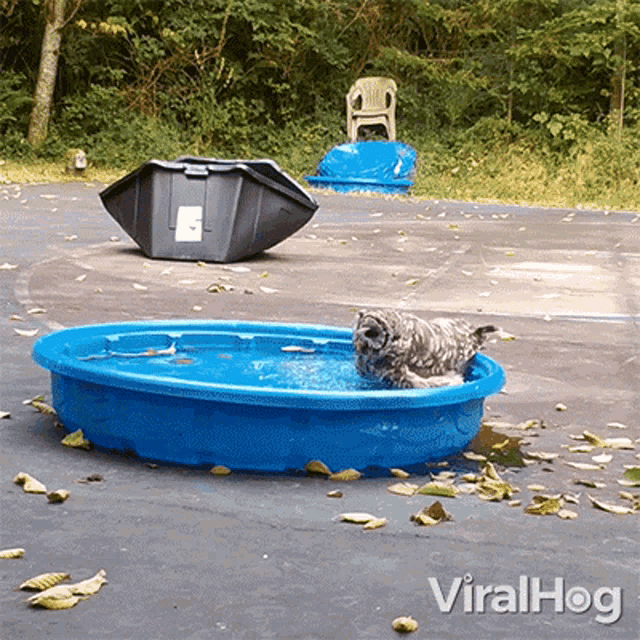 Taking A Bath Viralhog GIF