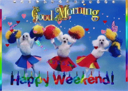 Friendship Good Morning GIF - Friendship Good Morning Poodle GIFs