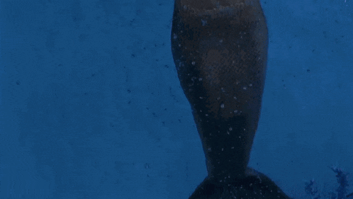 a mermaid is swimming in the ocean looking up