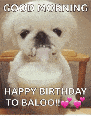 a puppy is drinking milk from a cup and says good morning happy birthday to baloo