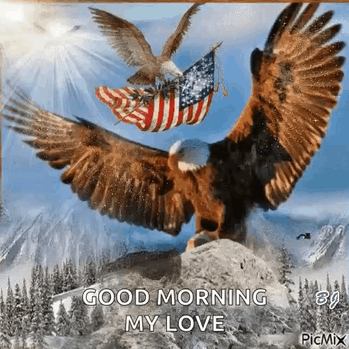 Eagle Mountains GIF - Eagle Mountains Flag GIFs