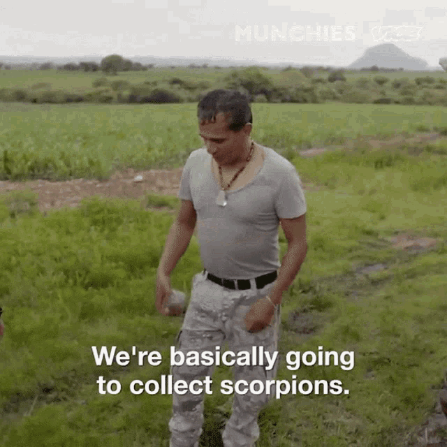 Were Basically Going To Collect Scorpions Were Going To Catch Scorpions GIF - Were Basically Going To Collect Scorpions Were Going To Catch Scorpions We Are Going To Collect Scorpions GIFs