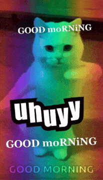 a rainbow colored poster with a cat and the words good morning