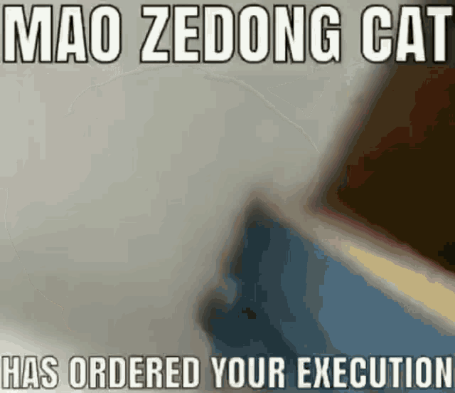 Mao Zedong Cat GIF - Mao Zedong Cat GIFs