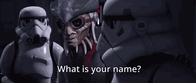 a storm trooper asks what is your name from a cartoon character
