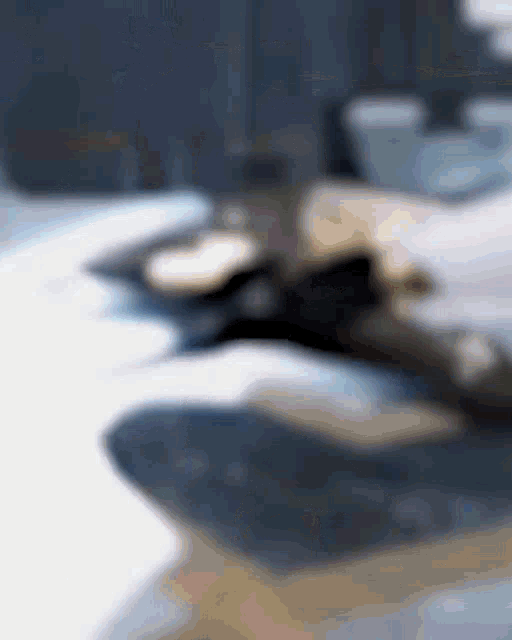 a blurry photo of a person laying on a bed