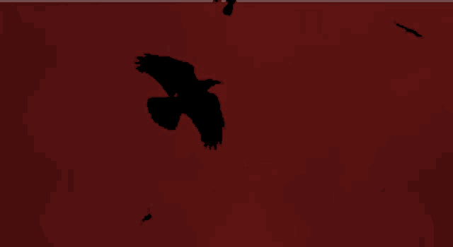 a flock of black birds flying in the sky