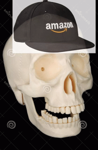 Amazon Skull GIF - Amazon Skull Reaction GIFs
