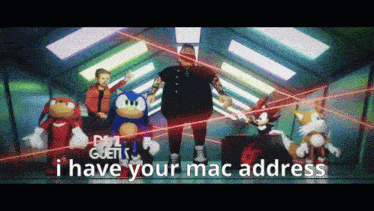 sonic the hedgehog and knuckles are surrounded by lasers and the words i have your mac address