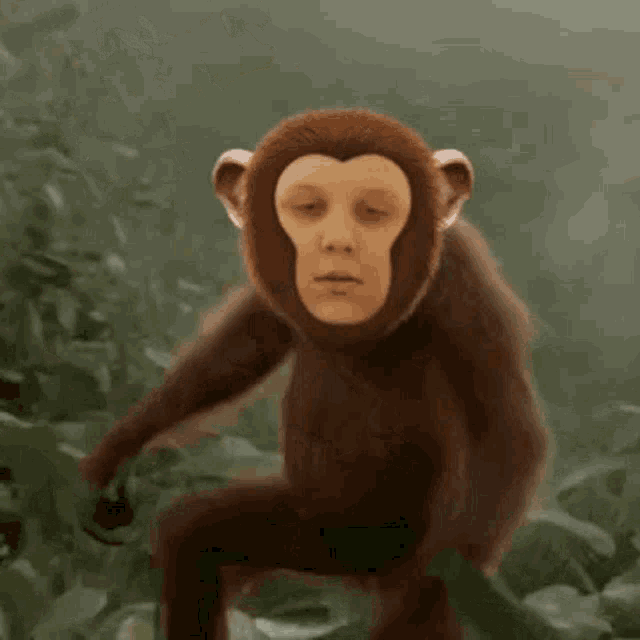 a monkey with a human face on it is sitting in the jungle .