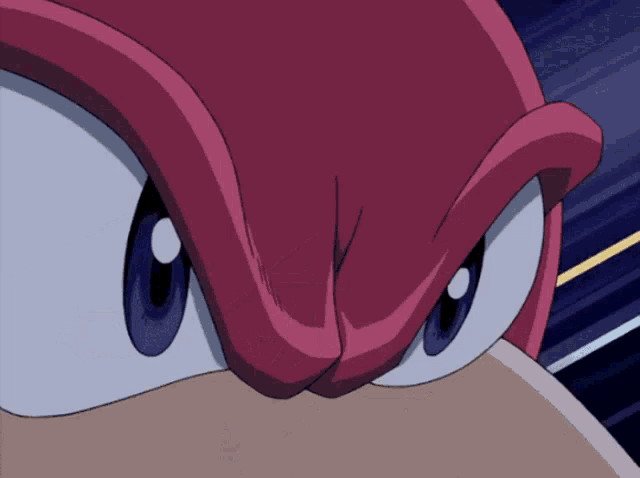 Sonic Knuckles GIF - Sonic Knuckles Sonic X GIFs