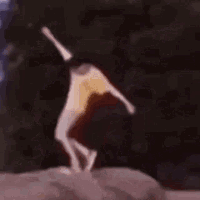 a person is standing on top of a rock .