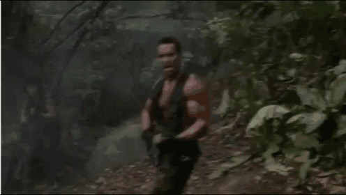 a man with a gun is walking through a jungle .