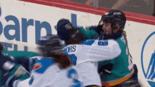 a hockey player with the number 2 on their jersey is fighting another player