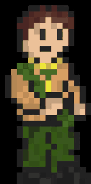 a pixel art drawing of a man in a green dress