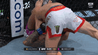 a ufc fight is being shown on espn