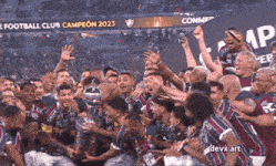 Fluminense Campeão Da Libertadores GIF - Fluminense Campeão Da Libertadores GIFs